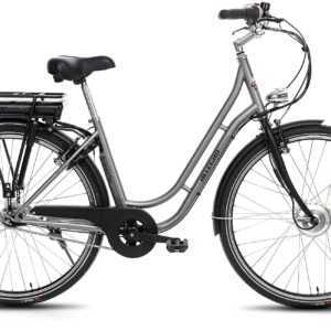 ALLEGRO E-Bike Boulevard Plus 03 Silver, 7 Gang, Shimano, Nexus, Frontmotor 250 W