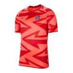 Nike Atletico Madrid Prematch Shirt 2021/2022 F645