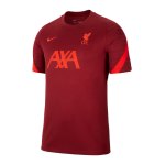 Nike FC Liverpool Strike T-Shirt F678