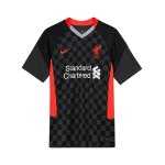 Nike FC Liverpool Trikot UCL 2020/2021 F060