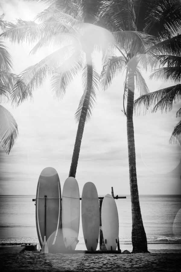 queence Acrylglasbild Surfboards