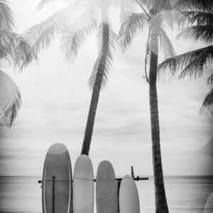 queence Acrylglasbild Surfboards