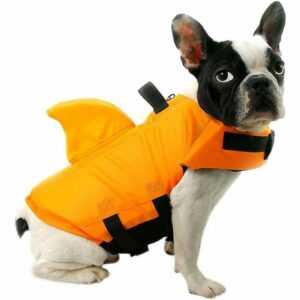 Hunde-Schwimmweste, Sicherheitsweste, Welpen, Haustier, verstellbarer Badeanzug mit Haifischflosse (m, Orange)