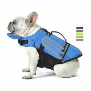 Wings Design Hunde-Schwimmweste, Schwimmweste für Hunde, Rettungsschwimmer-Badeanzug mit Griff L (Brustumfang 50-75 cm)-Orange Thsinde