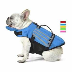 Wings Design Hunde-Schwimmweste, Schwimmweste für Hunde, Rettungsschwimmer-Badeanzug mit Griff - Plemdea L (Brustumfang 50-75 cm) - Blau Thsinde