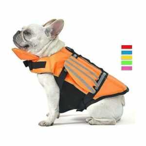 Wings Design Hunde-Schwimmweste, Schwimmweste für Hunde, Rettungsschwimmer-Badeanzug mit Griff - Plemdea S (Brustumfang 41-53 cm) - Blau Thsinde
