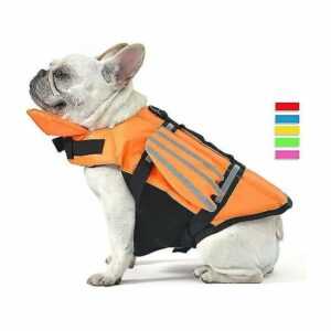 Wings Design Hunde-Schwimmweste, Schwimmweste für Hunde, Rettungsschwimmer-Badeanzug mit Griff S (Brustumfang 41-53 cm)-Orange Thsinde