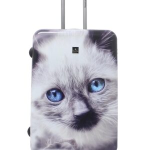 Saxoline Koffer "White Cat", mit niedlichem Katzenmotiv